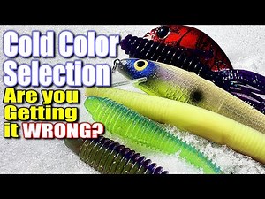 Why Your Bass Lure Color Selection is WRONG In Cold Water!