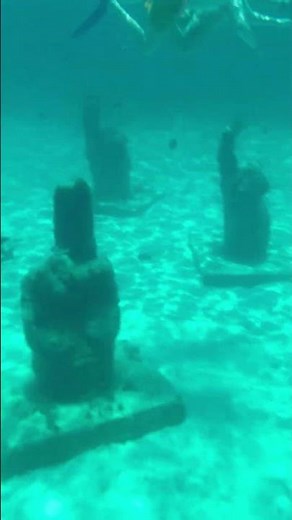 Snorkeling & Underwater museum Isla Mujeres #cancun #islamujeres #snorkeling