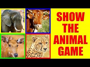 Show me the Mammals Game for Kids - Where is the animal?