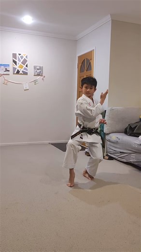 163K views · 3.6K reactions | Daily routine . @jenskarate | Karate Techniques | Facebook