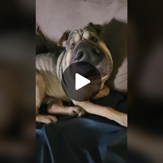 Gigi (@biggigi2020)’s videos with suono originale - sancineto carmela 77