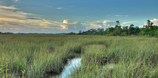Climate change alters what’s possible in restoring Florida’s Everglades