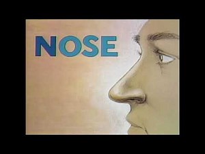 Sesame Street - Consonant Sound (N, Nose)