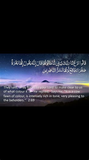 The Secret of the Bright Yellow Cow Revealed!