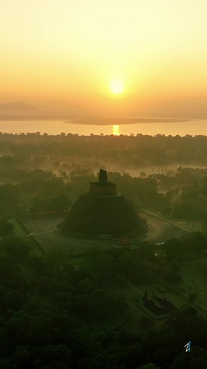 Experience the Spiritual Essence of Wesak Celebrations in Sri Lanka