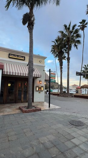 We’re known for our Southern California sunshine, but occasionally we experience a rainy day. Here are 9 things to do on a rainy day in Avalon. For a complete list, visit: https://www.lovecatalina.com/blog/post/20-plus-things-to-do-on-a-rainy-day-in-avalon/ | Catalina Island