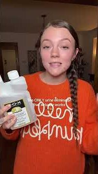 Get the smell of odor and urine out of your house with K.O.E odor eliminator - how to get cat pee