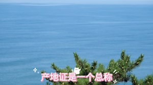 外贸出口FORM E产地证怎么办理？