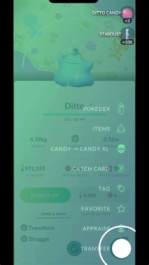 ✨Shiny Ditto Caught with Background & Hat! PokemonGO!