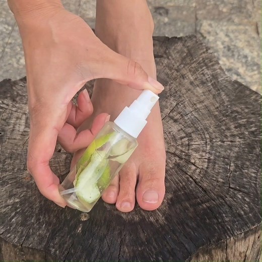 7.9K views · 84 reactions | Powerful blend! | Barbie Recipes and Tips | Facebook