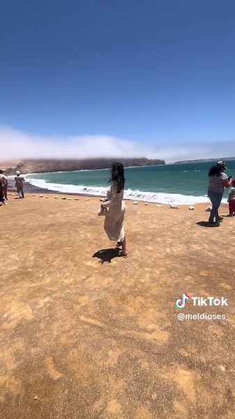 Explora Paracas en mini buggy con Mendieta Tours