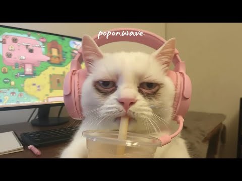 [playlist] 이걸 왜 계속 듣고 있는지 나도 모르는 chillhop 🎧2026 Late Night Chill Pop | 작업 · 집중 · 노동요