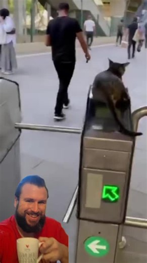 SteRo (@wolfpack_steffen)’s videos with Originalton - SteRo