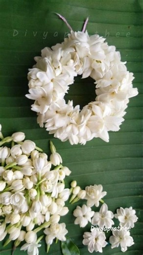 Quick and easy Fresh Jasmine Flower gajra/DIY Traditional Hair Garland/Malli poo veni #short #craft