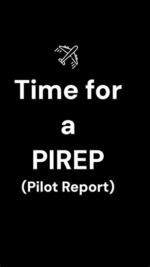 The Weirdest Pilot Report (PIREP) You Will Ever See 🕷️✈️