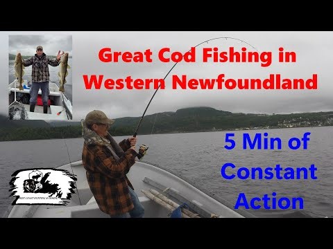 Great Cod Fishing, Western Newfoundland