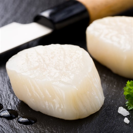 Order Fresh Hokkaido Scallops – Sashimi-Grade, Wild-Caught, 5 lbs Incr