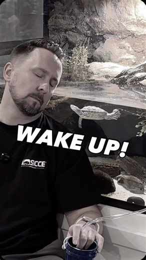 The Ultra zero works hard for you and water changes. But that’s not all. The Ultra zero is there when you need it most. Clogged tub ✅ Pool cover with water ✅ Basement flood ✅ Water changes ✅ Transfer aquarium or water ✅ Much, Much more ✅ #aquariums #followthewhale #madeinitaly #aquariumhobby #fishtank #familyowned #aquariumlife #poweredbysicce #fyp #infomercial #commercial #aquarium | SICCE