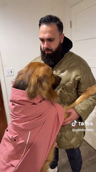 Best rain coat for puppies I ever used! #sparkpaws #dograinjacket #dogowners #dogproducts #tiktokshopcreatorpicks