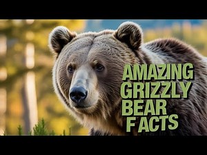20 Fascinating Facts About the Mighty Grizzly Bear | 4K #Wildlife Documentary #grizzlies #animals