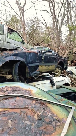 Nissan Z31 300zx Turbo Junkyard Find #automobile #junkyard #datsun #datsun240z #1970s #japanese