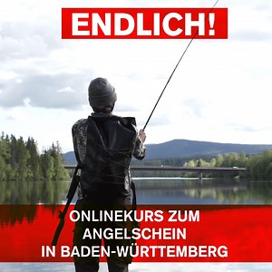 💥 Ab 01.10: Onlinekurs zum Angelschein in Baden-Württemberg vom LFVBW 🎣 Jetzt in die Warteliste eintragen ✔ über 70.000 erfolgreiche Teilnehmer ➡ zur Warteliste: https://www.fishing-king.de/baden-wuerttemberg-angelschein-machen/ Nach langen und intensiven Vorbereitungen ist es in Kürze soweit und wir können ab dem 01.10.2020 den offiziell anerkannten Onlinekurs für Baden-Württemberg vom Landesfischereiverband Baden-Württemberg veröffentlichen. In Kombination mit einem einzigen Praxistag wurde 