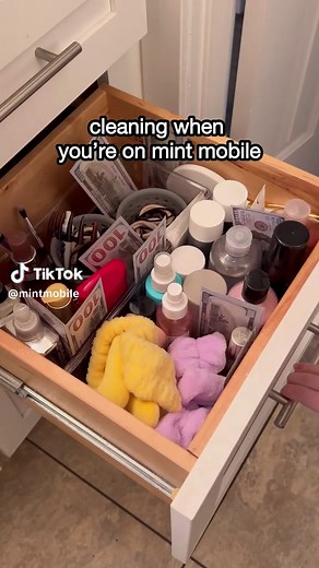 Mint Mobile on TikTok