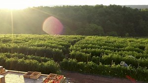 Aerial Trucking Right Men Bend Over Stock Footage Video (100% Royalty-free) 1056653840 | Shutterstock