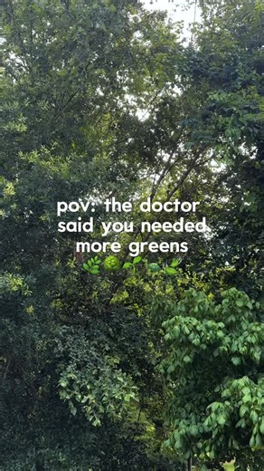 21 reactions · 4 comments | Green looks good on you, Longview!!  #longviewtx #longviewtexas #summertime | City of Longview | Facebook