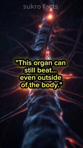 "This organ can keep on beating, even outside of the body." #facts #shorts