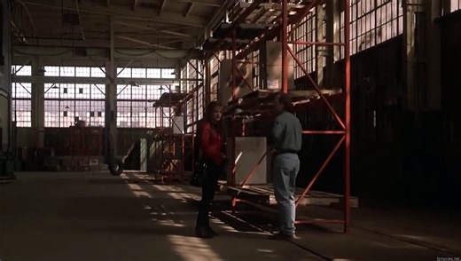 Darkman 2: The Return of Durant (1995) Watch HD