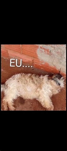 PERECE NE MAS N E OQ PENSA🫡