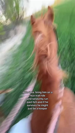 Fun Date Idea: Trail Ride with Horses