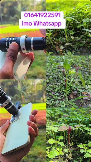 12x Zoom Lens Review: Stunning Performance Explained