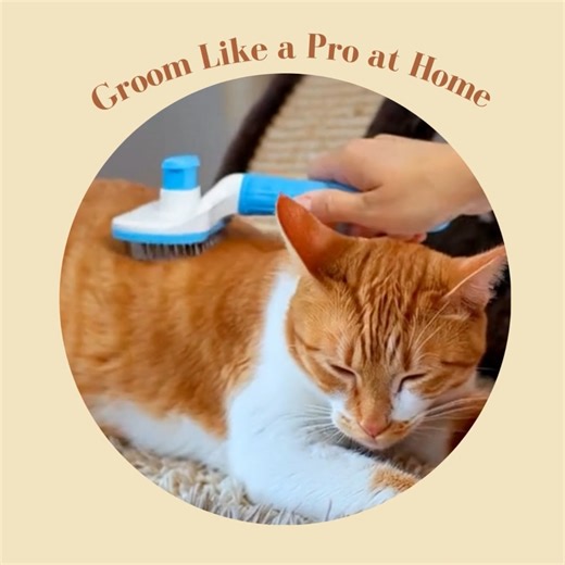 6_Grooming Brush (web)