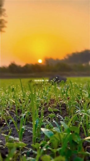 💔 Tere Vaaste x Sanam Re – Soulful Love Mashup