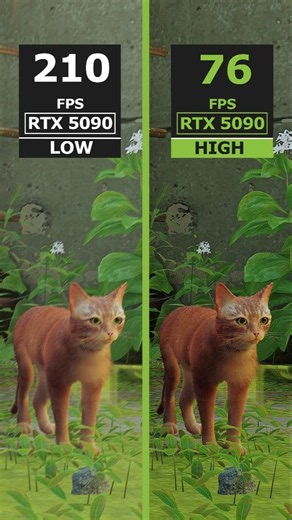STRAY vs RTX 5090 - Graphics Test