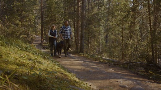 19K views · 211 reactions | The best way to learn about Jasper...