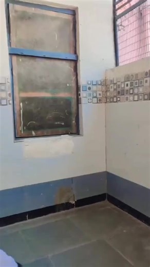 Exploring the College Life Experience