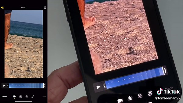 How to revert a video back to its original form in iPhone 13 Pro max
