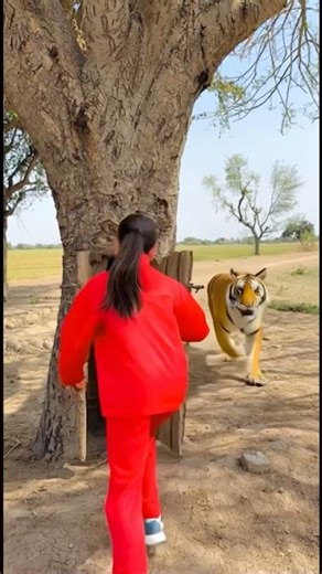 ওগো মা 🥲🥲#sorts #ytshort #sort #নবীজী #নবিজীর #নবীজির #নবীজির_গজল #islamic #chanal #yt #ym