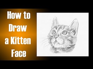 How to Draw a Kitten Face Step by Step