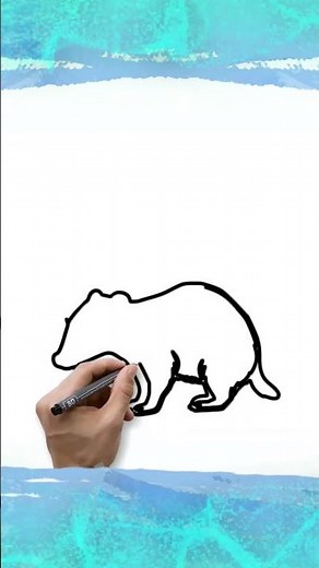How to draw an Badger #drawing, #easydrawing, #Badger