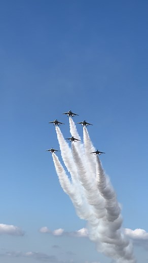 ブルーインパルスの曲芸飛行：クリスマスツリー演目名