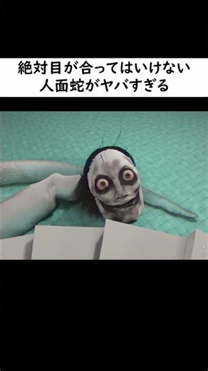 絶対に目が合ってはいけない人面蛇がヤバすぎる【The Classrooms】