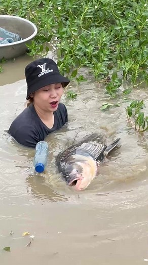 Amazing Fish Trapping Skills #fishing