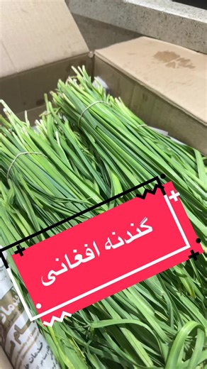 Delicious Afghan Dishes: Food Videos Collection