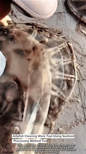 Jellyfish Cleaning Work Tool Using Seafood Processing Method Tool #worktool