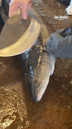 Watch how a sharp knife slices through cobia fish easily #FishCutting #CookingSkills #SeafoodLovers #KitchenHacks | Food Adventure