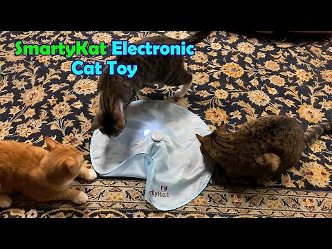 SmartyKat Hot Pursuit Electronic Cat Toy Tested 🐈 Gadgetify